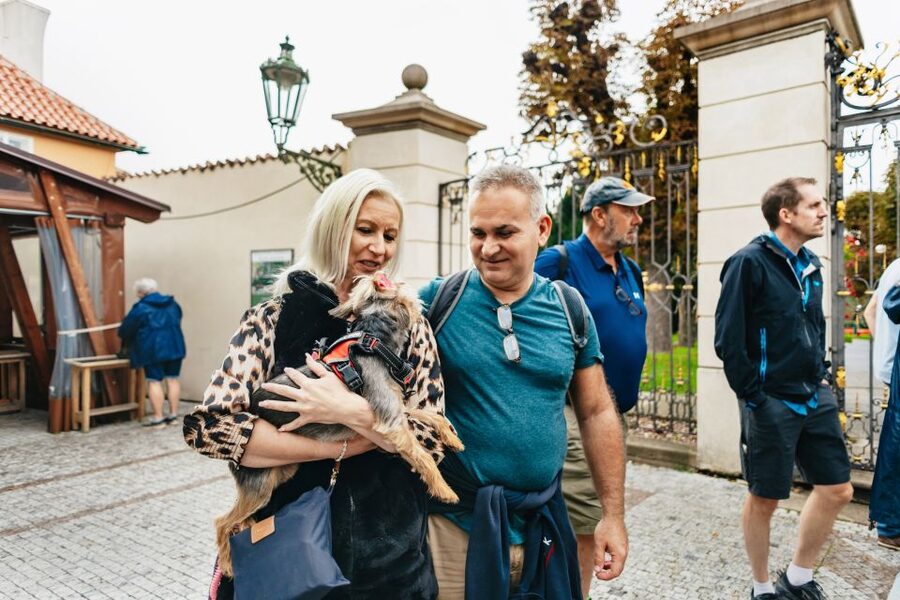 Prague: City Highlights By Bus, Boat, and on Foot - Is $27 good value?