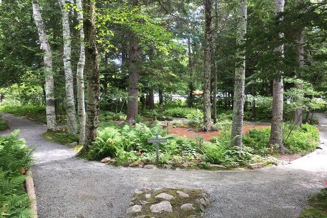 Premium Narrated Bus Tour of Bar Harbor and Acadia National Park (3.5 Hours) - Price, timing, and who gets good value