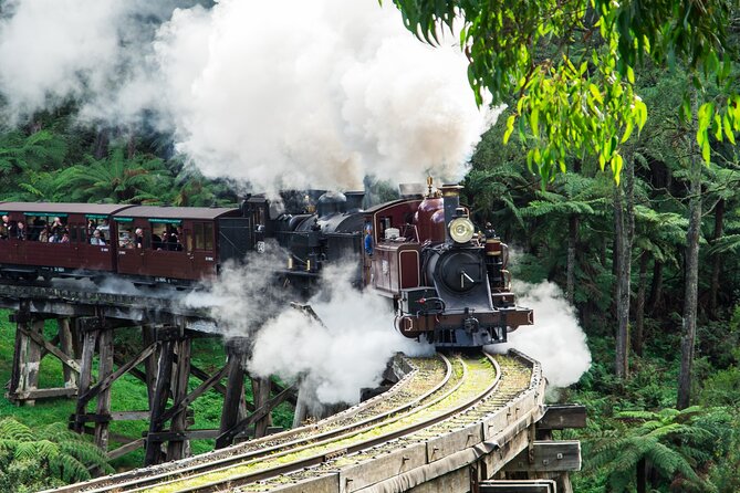 Puffing Billy And Phillip Island Penguin Parade Bus Tour - At a glance