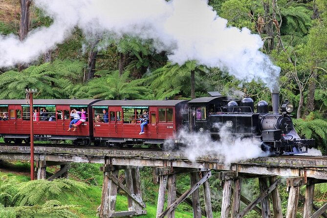 Puffing Billy And Phillip Island Penguin Parade Bus Tour - One long day beyond Melbourne