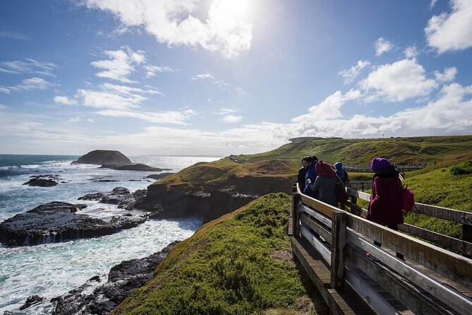 Puffing Billy And Phillip Island Penguin Parade Bus Tour - Waiting for the little penguins