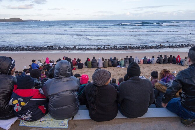 Puffing Billy And Phillip Island Penguin Parade Bus Tour - What the guides add to the day