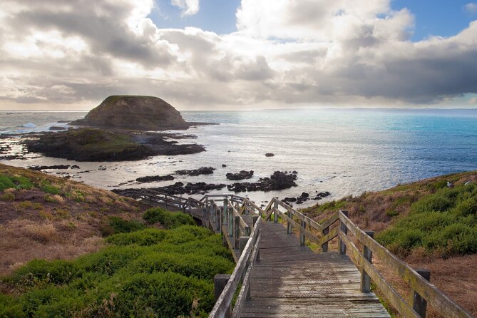 Puffing Billy And Phillip Island Penguin Parade Bus Tour - Should you book the Puffing Billy and Penguin Parade tour?