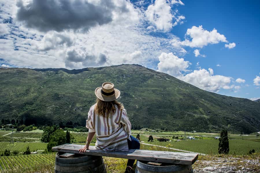Queenstown & Gibbston Valley: Hop-On Hop-Off Wine Tours - How the one-day route works