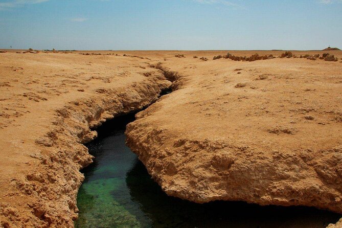 Ras Mohamed National Park Half Day Tour by Bus In Sharm El Sheikh - Snorkeling at Coral Gardens from the shore
