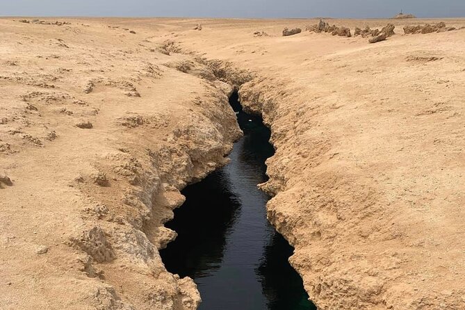 Ras Mohamed National Park Half Day Tour by Bus In Sharm El Sheikh - Mangroves, salt marshes, and Earthquake Crack