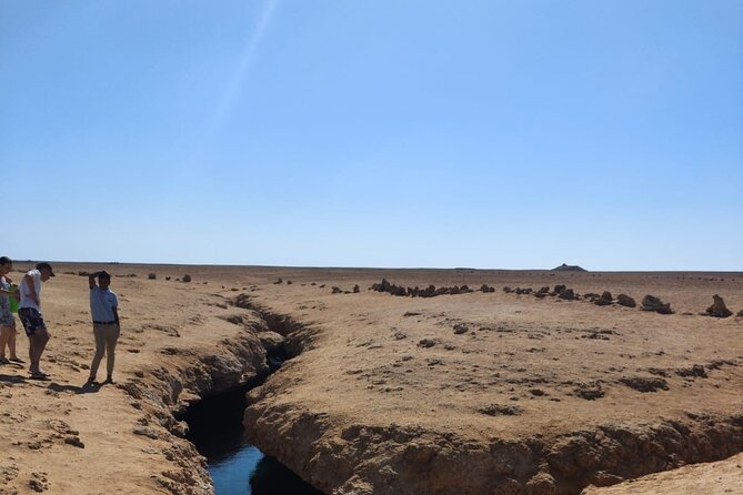 Ras Mohamed National Park Half Day Tour by Bus In Sharm El Sheikh - What the $20.75 price really covers