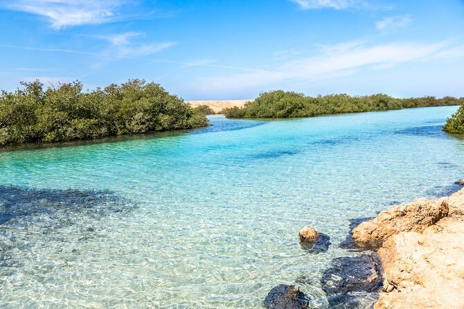 Ras Mohamed National Park Half Day Tour by Bus In Sharm El Sheikh - Group size, guiding, and the pace of the morning