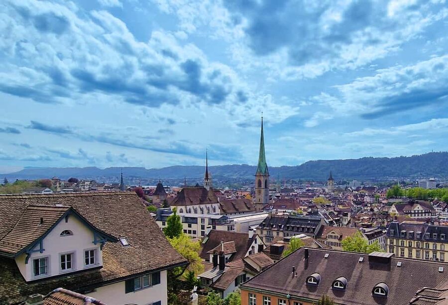 Rhine fall Visit and Zurich Open Top City Tour - What the driver guide adds