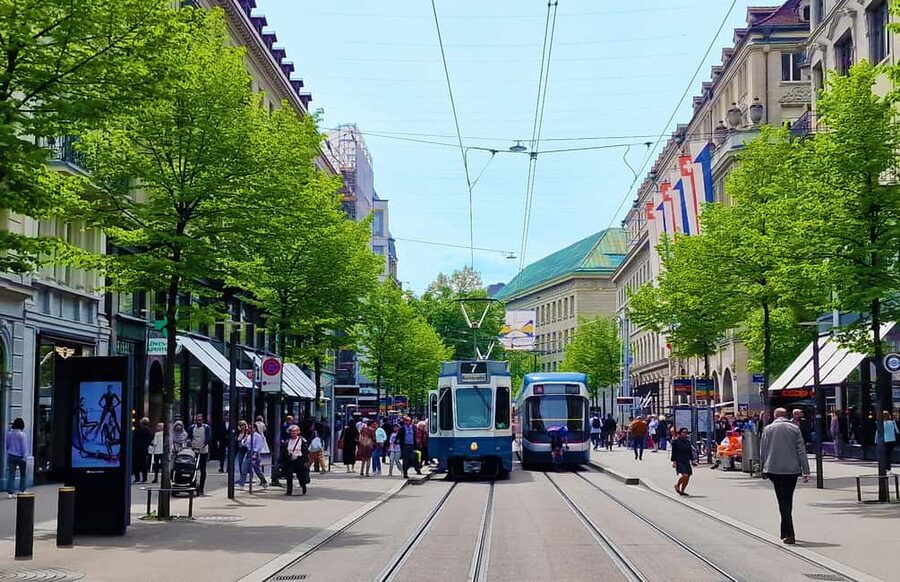 Rhine fall Visit and Zurich Open Top City Tour - Who will enjoy this outing most?