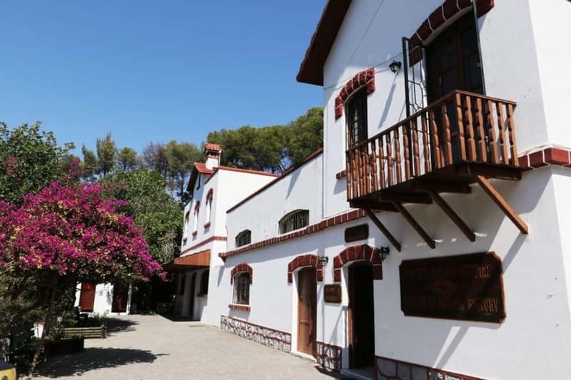 Rhodes: Butterfly Valley and Filerimos Hill Bus Trip - Walking demands and who should skip it