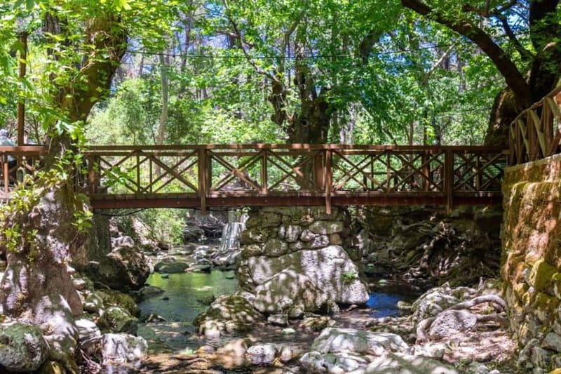 Rhodes: Butterfly Valley and Filerimos Hill Bus Trip - Should you book the Butterfly Valley and Filerimos trip?