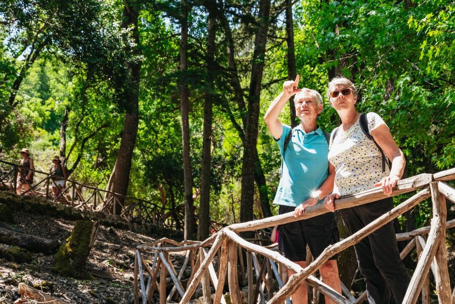 Rhodes: Filerimos Hill and Butterfly Valley Bus Trip - Who will enjoy this trip most