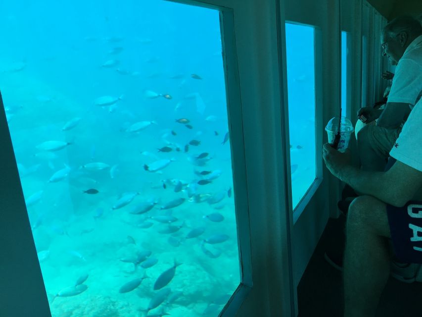 Rhodes: Hop-on Hop-off Bus and Submarine Tour - Should you book the Rhodes bus and submarine tour?