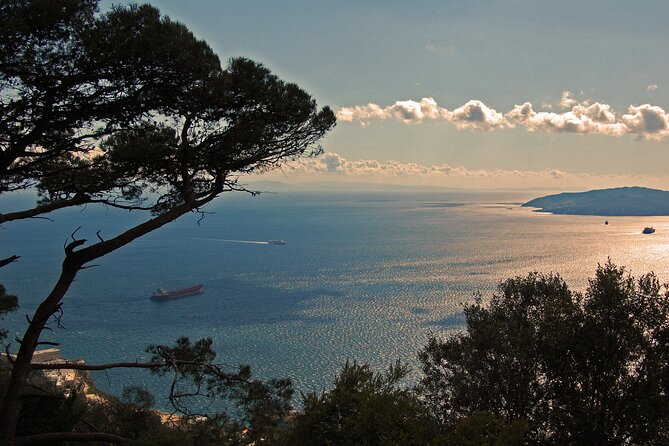 Rock Tour in Gibraltar by Bus with Tickets - St. Michael’s Cave is the highlight