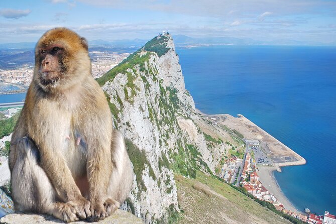 Rock Tour in Gibraltar by Bus with Tickets - A short tour with a sometimes longer clock
