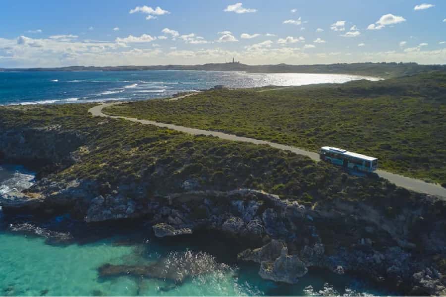 Rottnest Island Ferry and 1.75 Hr Bus Tour - Wadjemup Lighthouse and the island’s past