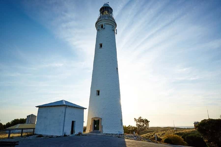 Rottnest Island Ferry and 1.75 Hr Bus Tour - Henrietta Rocks and Mabel Cove