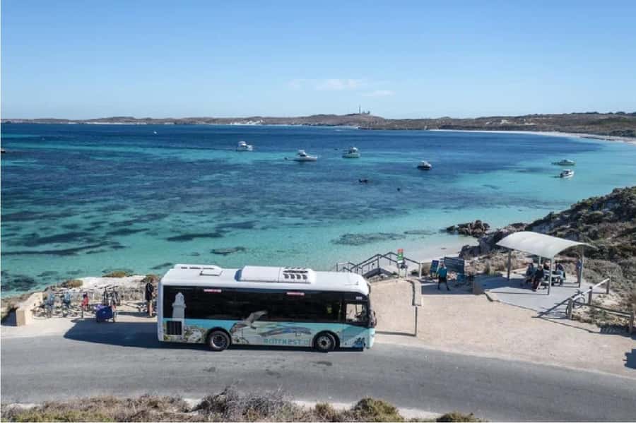 Rottnest Island Ferry and 1.75 Hr Bus Tour - What the 1.75-hour island bus tour adds