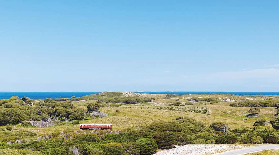 Rottnest Island: Grand Bus and Train Tour with Lunch - Wadjemup Lighthouse and the island settlement