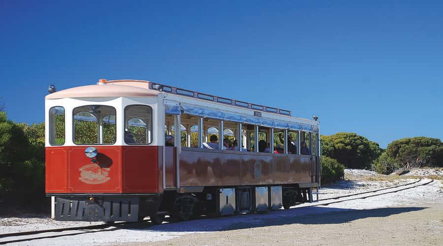 Rottnest Island: Grand Bus and Train Tour with Lunch - The island circuit, from salt lakes to coastal bays