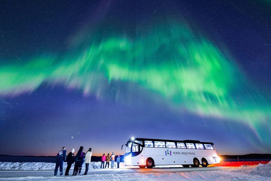 Rovaniemi: Hunting Northern Lights Bus Tour - Key points to know before booking