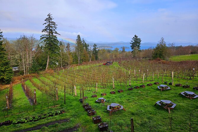 Salt Spring Island "Artisan Trail" Hop On Hop Off Tour! - Ciderworks and the Salt Spring Apple Co orchard