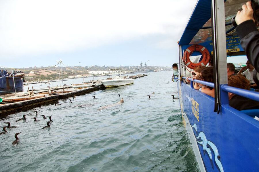 San Diego: SEAL City Tour by Amphibious Bus - Comfort, timing, and the $55 value