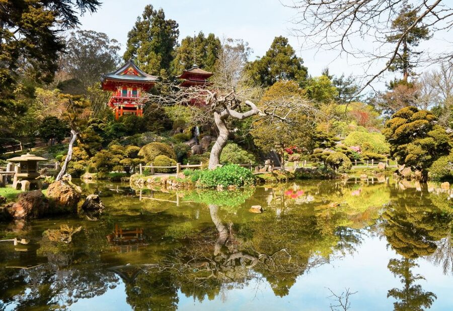 San Francisco: Hop-On Hop-Off Bus with Ferry & Alcatraz Tour - Golden Gate Park, museums, and the Japanese Tea Garden