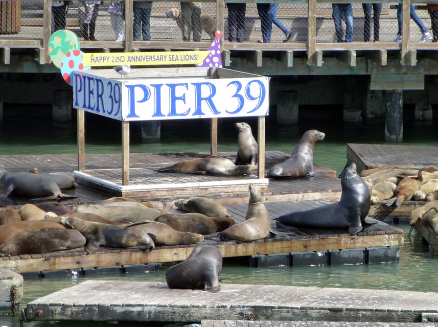 San Francisco: Hop-On Hop-Off City Bus Tour and Bay Cruise - How to plan the bus and boat in one day