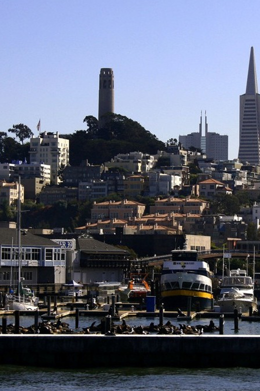 San Francisco: Hop-On Hop-Off City Bus Tour and Bay Cruise - Who will get the most from this experience?