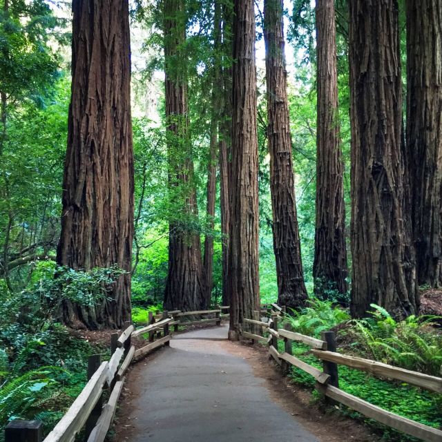 San Francisco: Hop-On Hop-Off Sightseeing Tour with 17 Stops - Crossing the Golden Gate Bridge