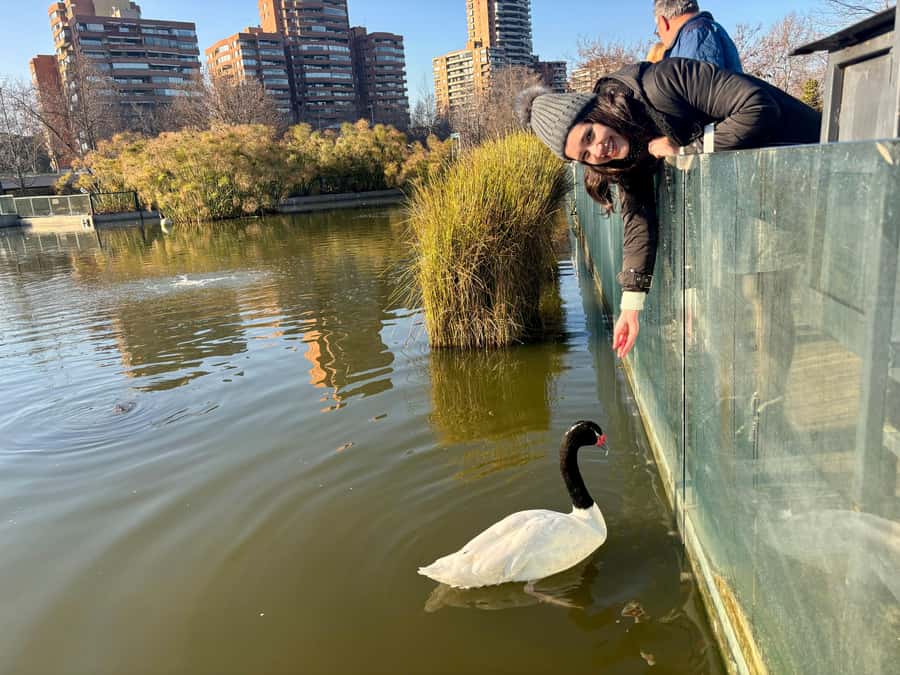 Santiago Half-Day Walking Tour with Hotel Pick up & Brunch - Is $48 a fair price?