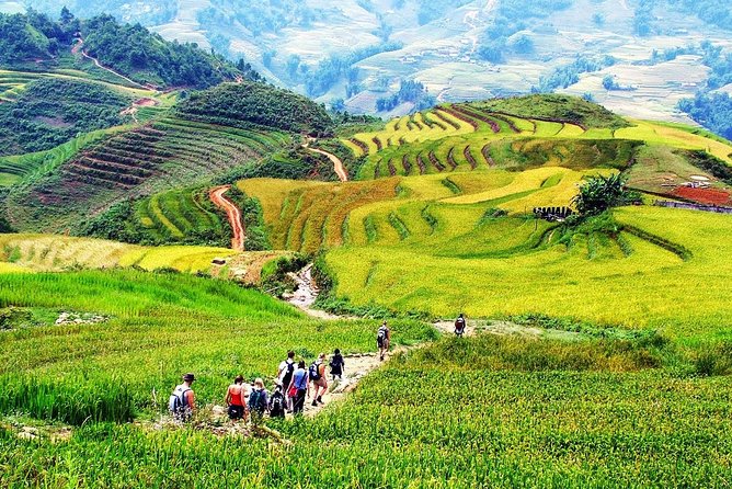 Sapa 2 Days 1 Night Tour From Hanoi By Bus (Hotel Overnight) - Who should choose this tour?
