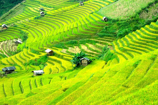 Sapa 2D1N Trekking to Giang Ta Chai Village from Hanoi by Bus - Day two: bamboo forest and Giang Ta Chai