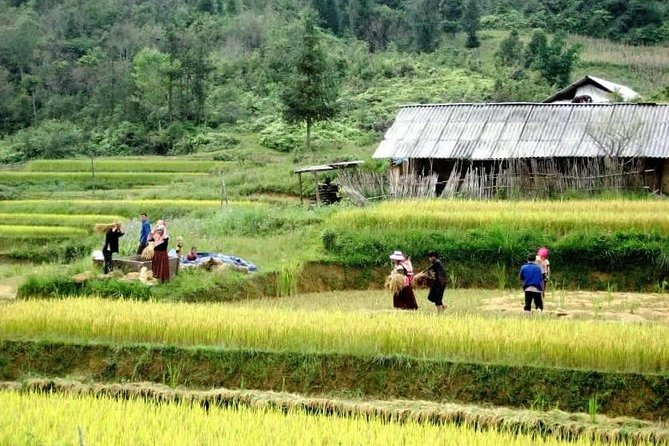 Sapa 3 Days Trekking Tour By Bus from Hanoi (2 Nights in Hotel) - Y Linh Ho, Lao Chai, and the long route to Ta Van