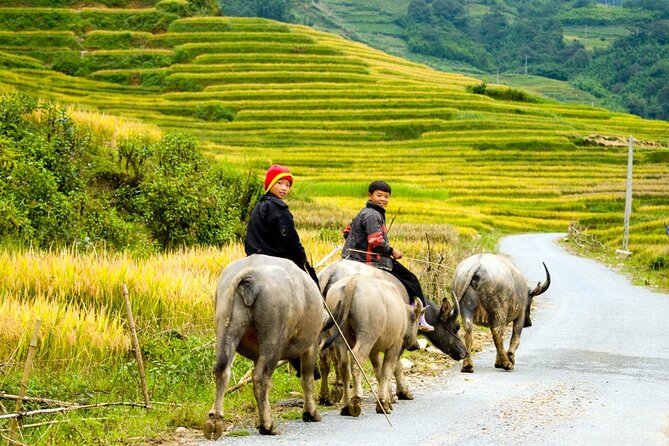 Sapa 3 Days Trekking Tour By Bus from Hanoi (2 Nights in Hotel) - Hotel comfort and the pace of the trip