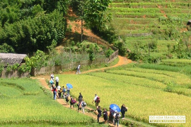 Sapa - Bac Ha Trek Tour - Night Train & Bus & Homestay overnight - Why this Sapa and Bac Ha combination works