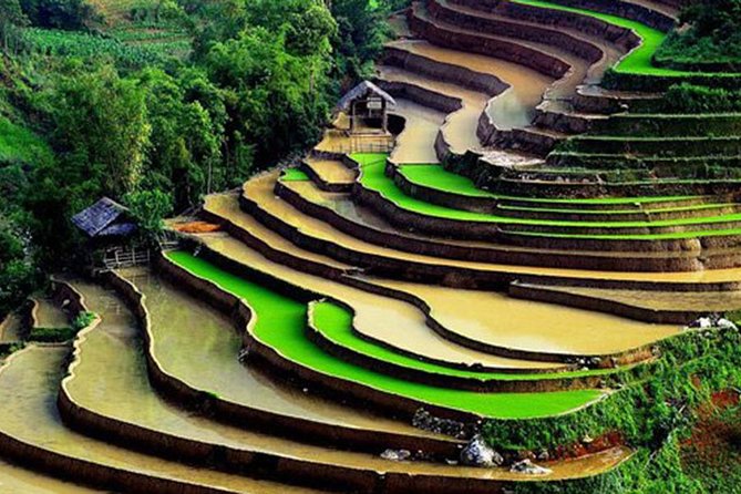 Sapa Hard Trekking by Bus for 2 days - Lao Chai and the first afternoon on foot