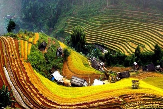 Sapa Trekking 2 Days - 1 Night, Homestay or Hotel by Sleeping Bus - Ta Van Village and the shared homestay