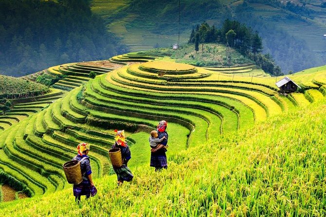 Sapa trekking 2days by bus from Hanoi ( over night in homestay) - Why this two-day Sapa trip works from Hanoi