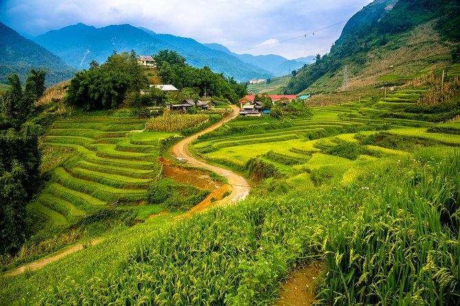 Sapa trekking 2days by bus from Hanoi ( over night in homestay) - Day two: bamboo forest, rice fields, and a suspension bridge