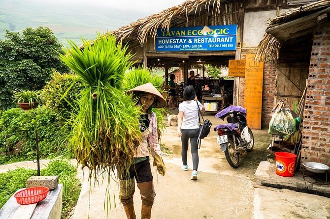 Sapa trekking 2days by bus from Hanoi ( over night in homestay) - Who should book this Sapa trek?