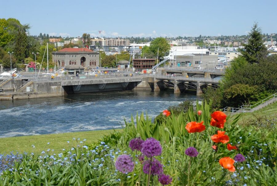 Seattle: 3-Hour City Tour by Bus - Fremont Troll, Lake Union, and the Ship Canal