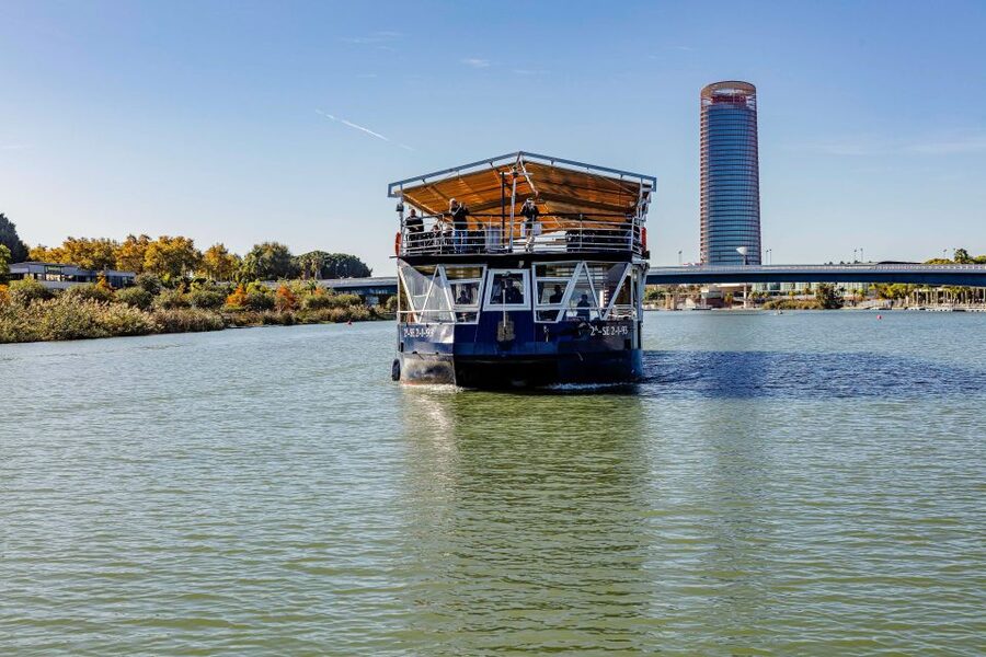 Sevilla: Hop-On Hop-Off & Walking Tours, Cruise & Flamenco - What to bring and who will enjoy this