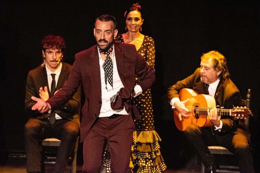 Sevilla: Hop-On Hop-Off & Walking Tours, Cruise & Flamenco - Finish with a one-hour flamenco performance
