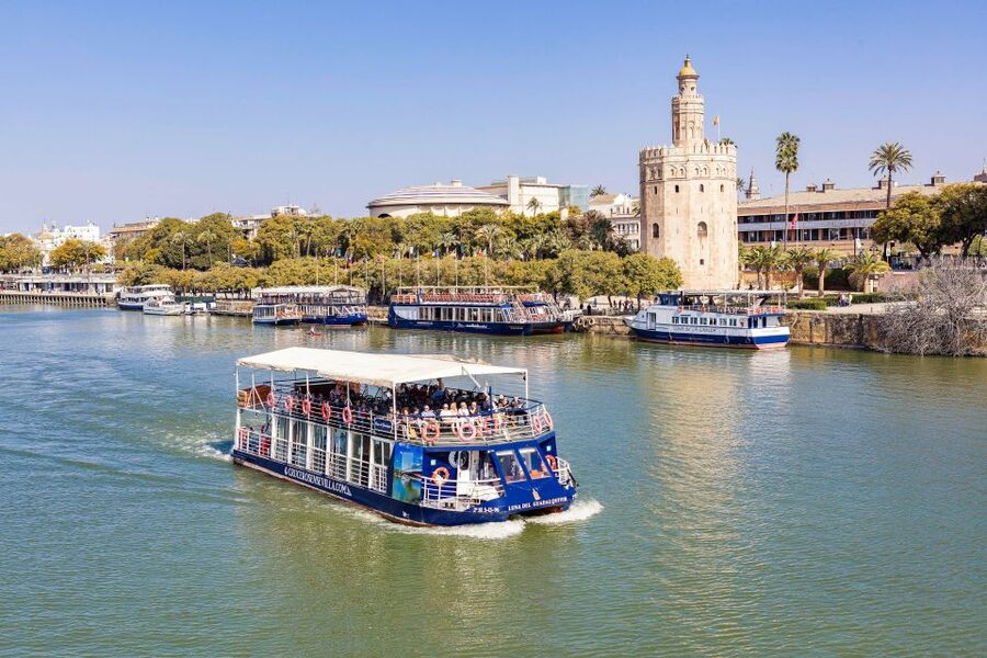 Sevilla: Hop-On Hop-Off & Walking Tours, Cruise & Flamenco - The main logistical weakness is communication