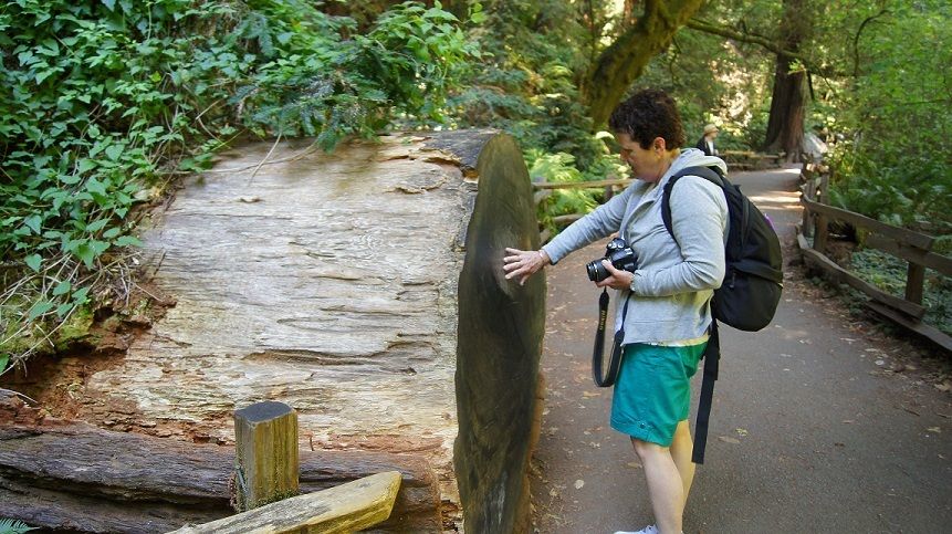 SF: Guided Muir Woods Tour & Hop-On Hop-Off Tour (Save 15%) - Why this San Francisco combo works