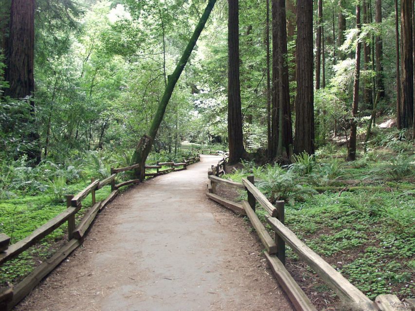 SF: Guided Muir Woods Tour & Hop-On Hop-Off Tour (Save 15%) - Who gets the best value at $140