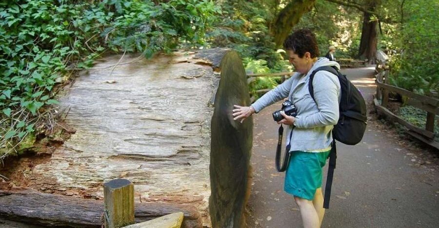 SF: Guided Muir Woods Tour & Hop-On Hop-Off Tour (Save 15%) - Starting at Fisherman’s Wharf